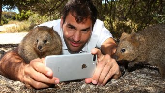 Quokka