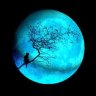 blue moon