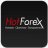 HotForex Jakarta