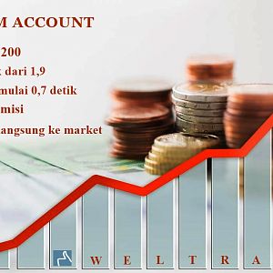 PREMIUM ACCOUNT BROKER FOREX WELTRADE